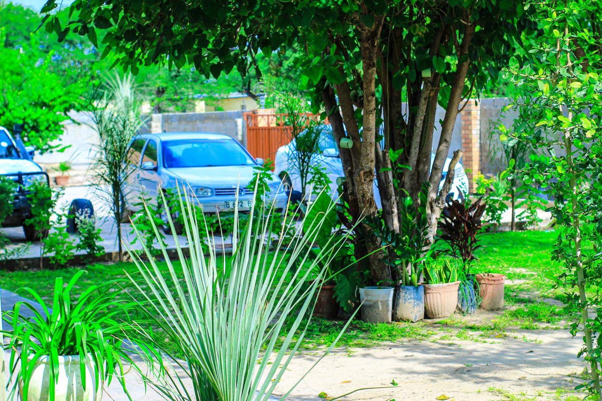 מאון Golentle Home Stay מראה חיצוני תמונה